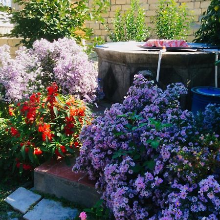 Bed and Breakfast House On Ashiq Cuma Street 8 Şǝki Exteriér fotografie
