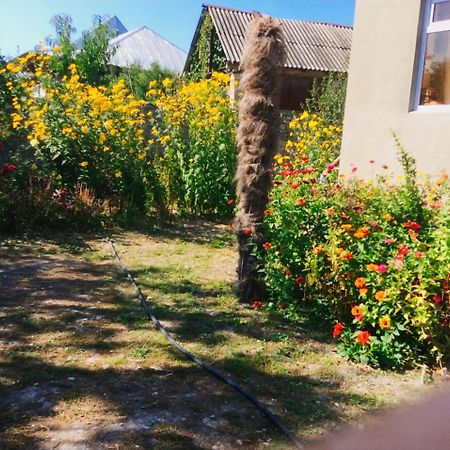 Bed and Breakfast House On Ashiq Cuma Street 8 Şǝki Exteriér fotografie