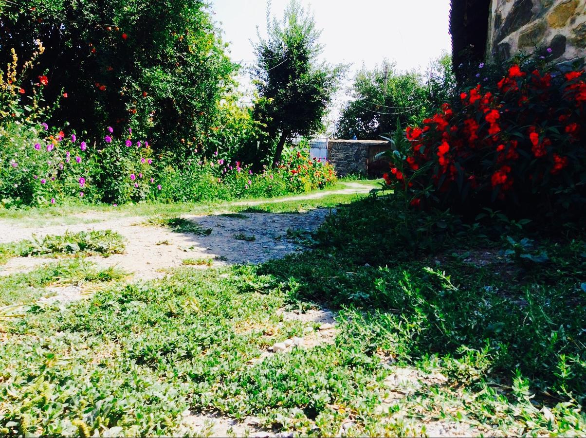 Bed and Breakfast House On Ashiq Cuma Street 8 Şǝki Exteriér fotografie