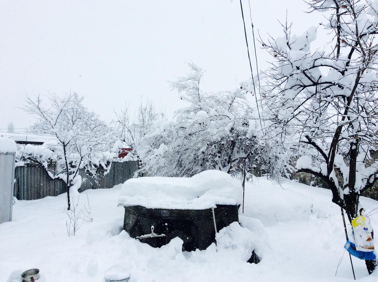 Bed and Breakfast House On Ashiq Cuma Street 8 Şǝki Exteriér fotografie