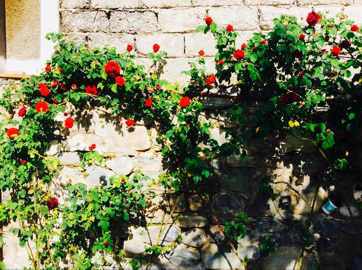 Bed and Breakfast House On Ashiq Cuma Street 8 Şǝki Exteriér fotografie