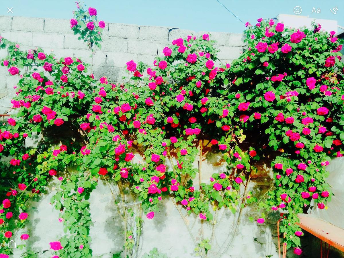 Bed and Breakfast House On Ashiq Cuma Street 8 Şǝki Exteriér fotografie