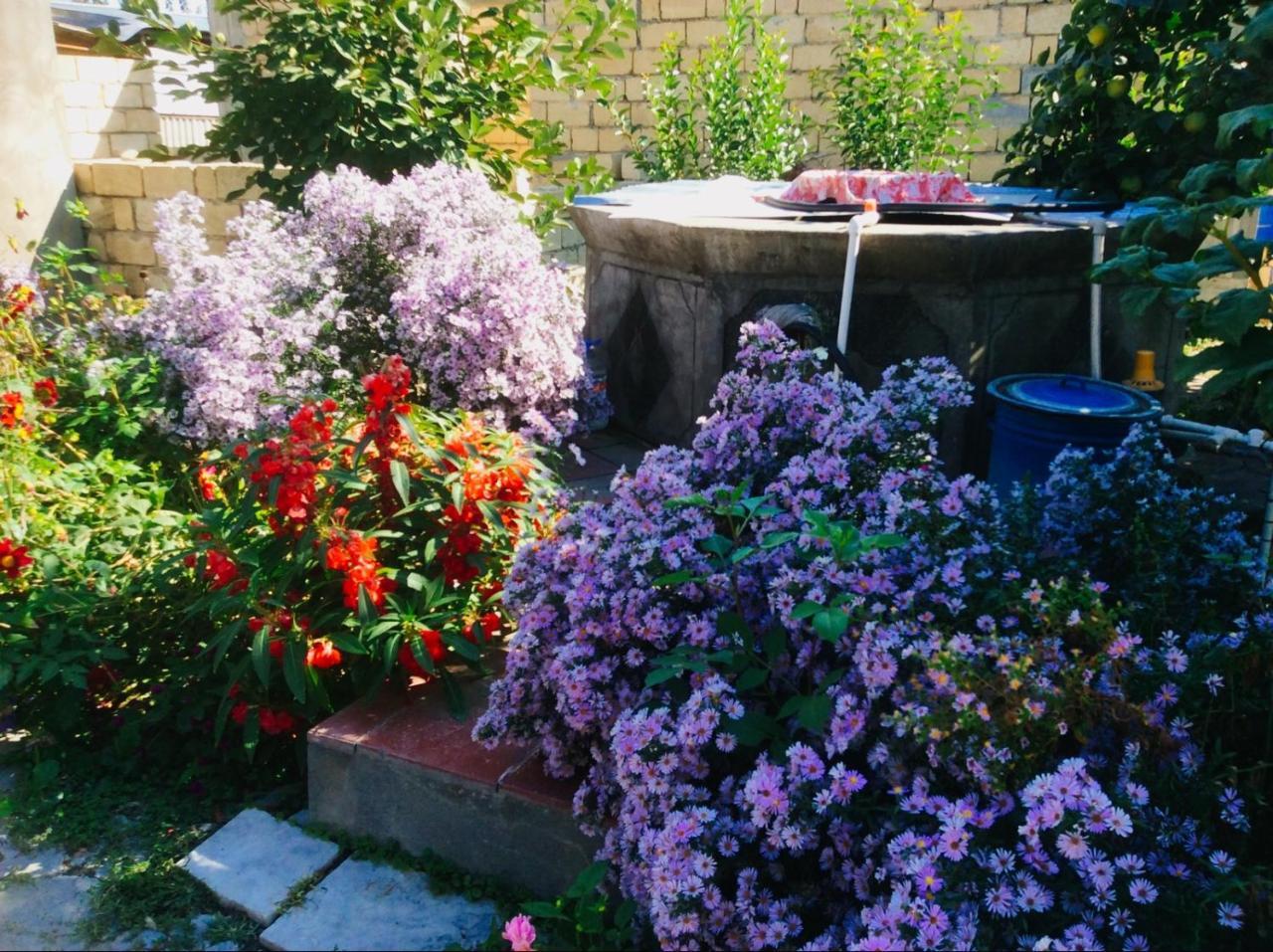 Bed and Breakfast House On Ashiq Cuma Street 8 Şǝki Exteriér fotografie