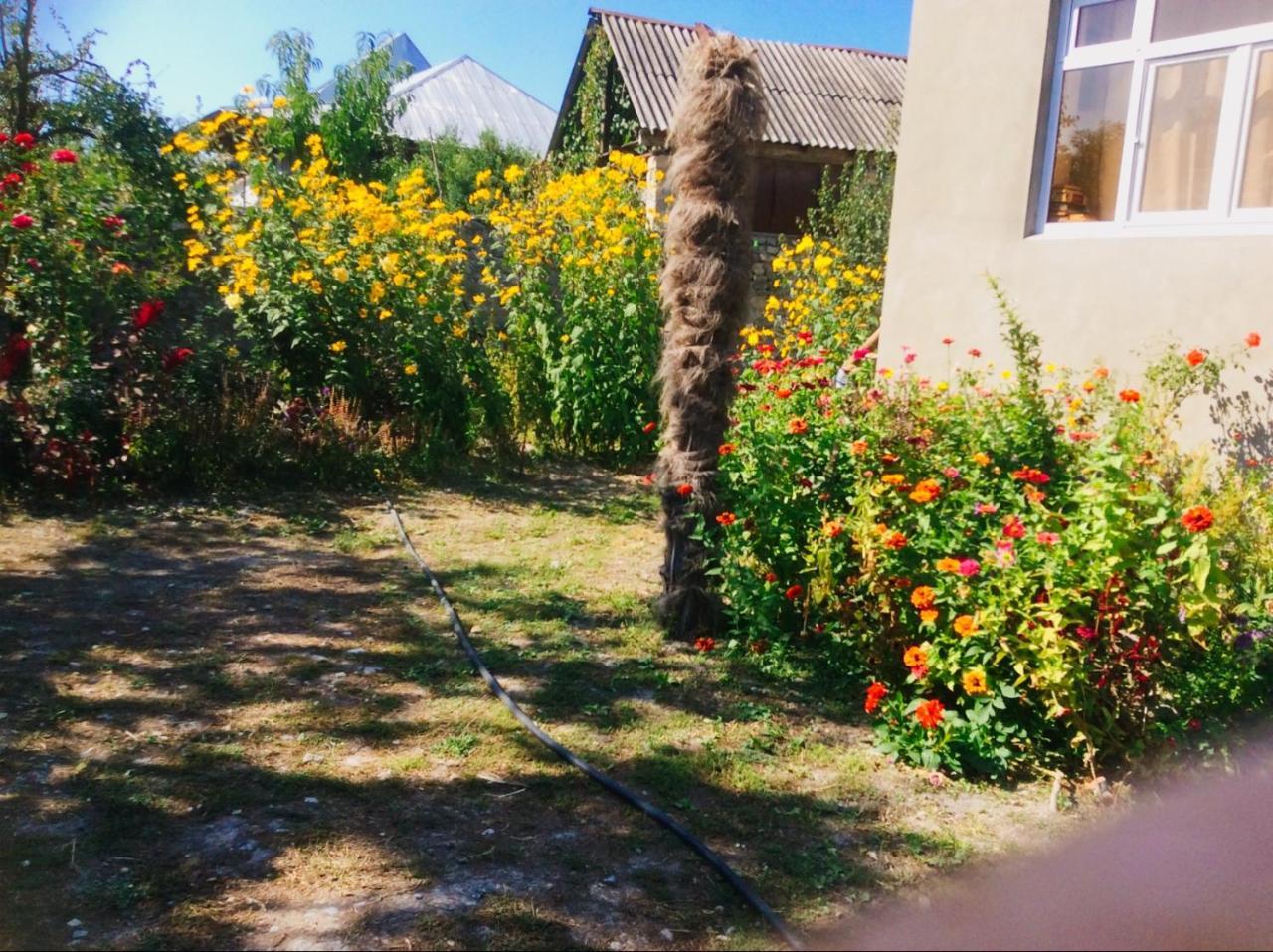 Bed and Breakfast House On Ashiq Cuma Street 8 Şǝki Exteriér fotografie