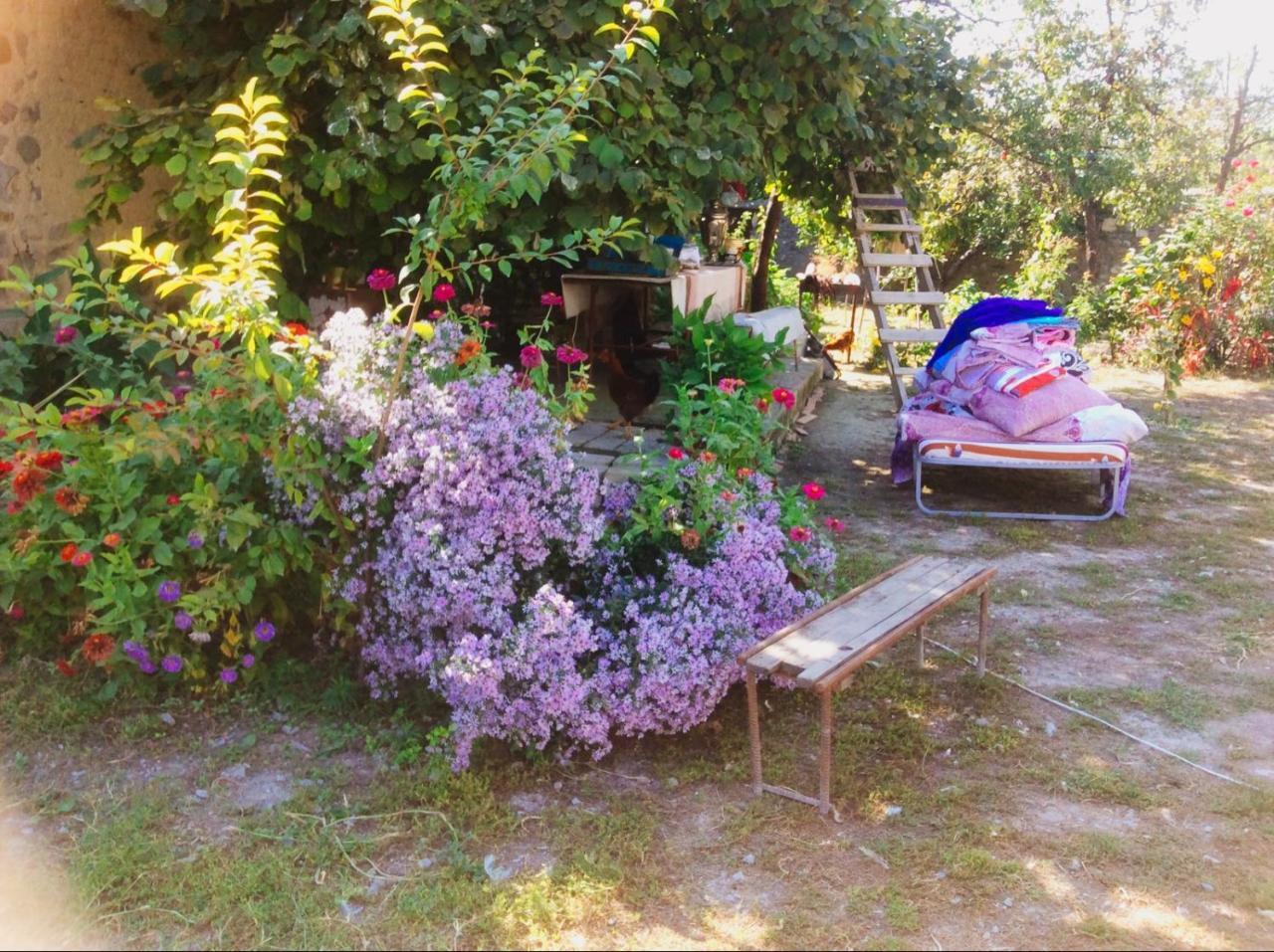 Bed and Breakfast House On Ashiq Cuma Street 8 Şǝki Exteriér fotografie