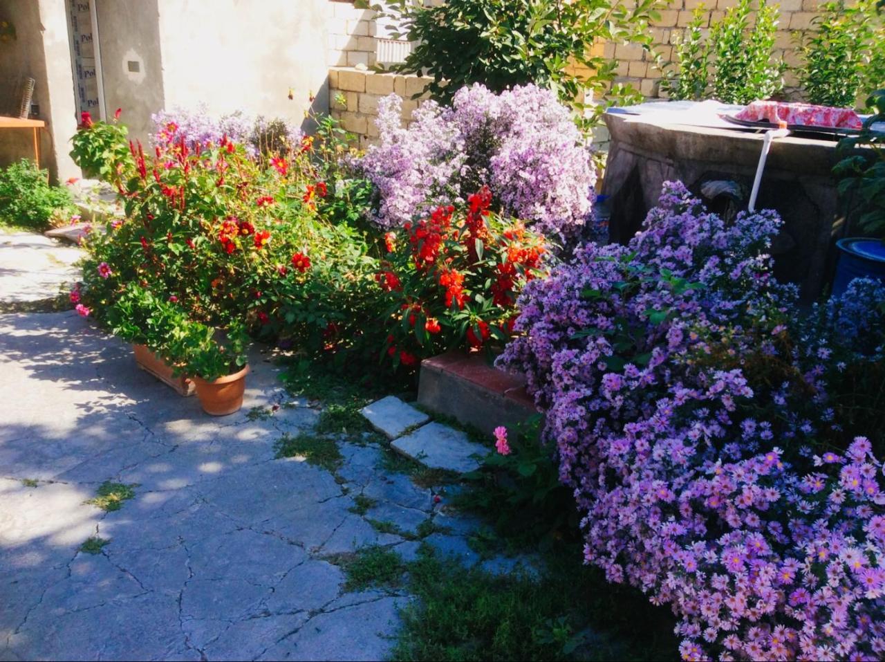 Bed and Breakfast House On Ashiq Cuma Street 8 Şǝki Exteriér fotografie